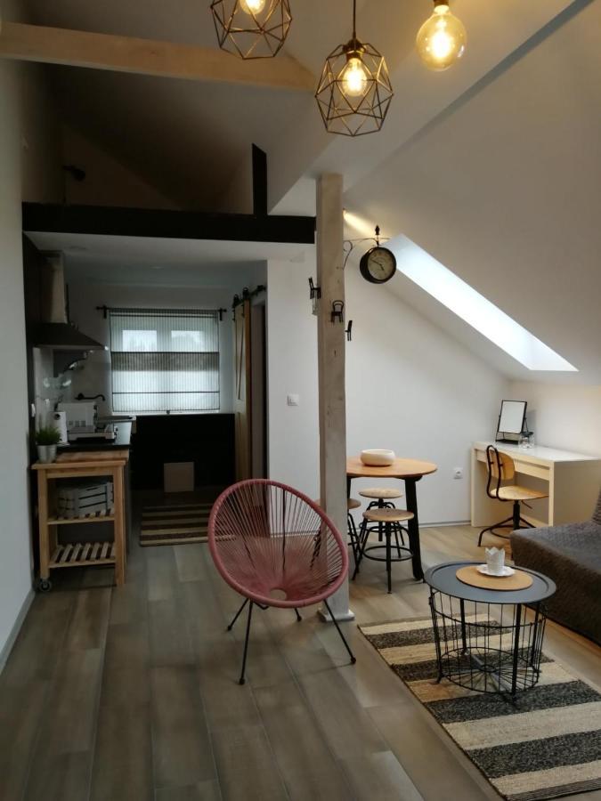 Studio Apartman Hana Apartment Dreznik Grad Exterior photo