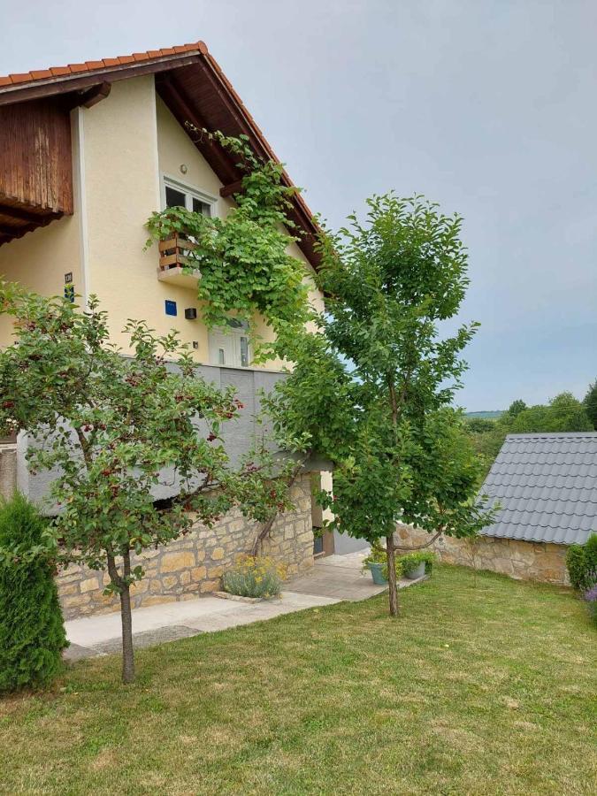 Studio Apartman Hana Apartment Dreznik Grad Exterior photo